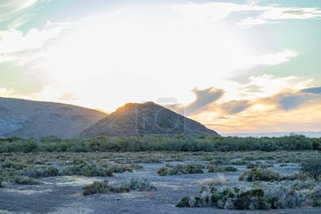 Paisaje llano del desierto al atardecer contra nubes de color naranja dorado, montañas rocosas en el fondo, terreno árido con estepas, matorrales, plantas silvestres y enebros en Baja California Sur, México