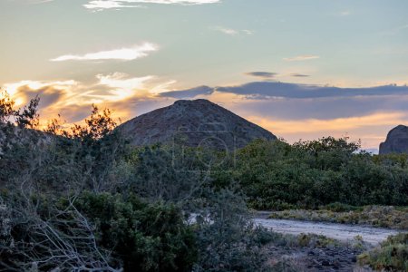 Paysage désertique au coucher du soleil avec genévriers, steppes, garrigues, plantes sauvages, montagnes rocheuses et nuages orange doré en arrière-plan, terrain aride en Basse-Californie sur, Mexique