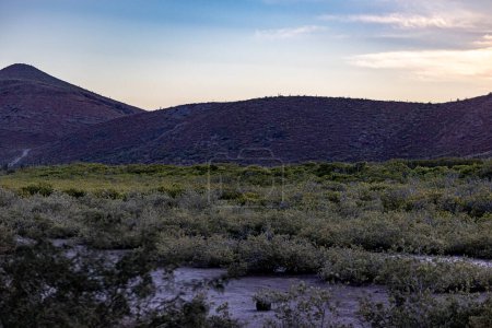 Paysage désertique mexicain avec genévriers et garrigues, imposante formation rocheuse de montagne éclairée par le soleil en arrière-plan, voiture garée sur le sable, coucher de soleil dans le désert de Basse-Californie sur, Mexique