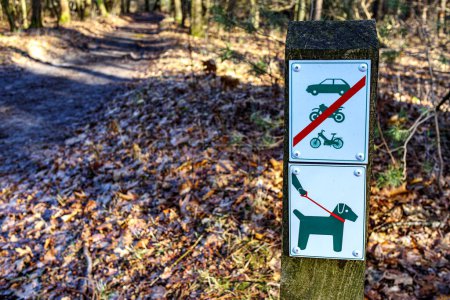 Photo for Signs indicating: dogs on leash and cars, bicycles and motorcycles prohibited, pedestrian path on blurred background, Duinengordel - Hoge Kempen National Park, sunny day in Genk, Limburg, Belgium - Royalty Free Image