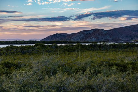 Sonnenuntergangslandschaft an der Küste mit Bucht und trockenen felsigen Bergen vor blauem Himmel mit Wolken in rötlichen und rosafarbenen Farben, Palo Verde Bäume im Küstengebiet, Sonnenuntergang in Baja California Sur Mexiko
