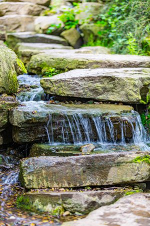 Agua limpia que fluye entre rocas de pequeña cascada, vegetación verde en un fondo borroso, día soleado en el jardín japonés en el parque público