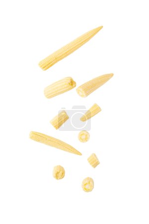 Téléchargez les photos : Chute Bébé maïs isolé sur fond blanc avec chemin de coupe. - en image libre de droit
