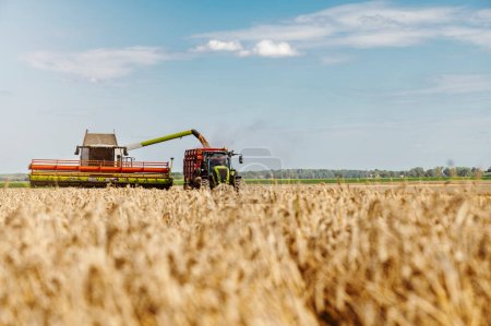 Téléchargez les photos : Domaine agricole avec machinerie lourde prête à être investie pendant la saison de récolte à la fin de l'été - en image libre de droit
