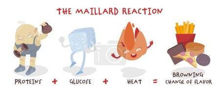 Illustration for Maillard reaction. chemical reaction between amino acids and reducing sugars that gives browned food its distinctive flavor. It is responsible for many colors and flavors in foods. Landscape poster - Royalty Free Image