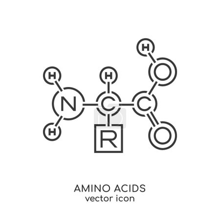 Téléchargez les illustrations : Amino acids icon. Organic compound that contain both amino and carboxylic acid functional groups. Protein synthesis. Outline pictogram. Black sign. Editable vector illustration. Transparent background - en licence libre de droit