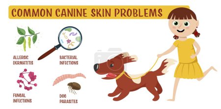 Téléchargez les illustrations : Dog skin problems infographic. Icons with different symptoms. Hair loss, itching, allergy, scabs. Animal parasites. Editable vector illustration in cartoon style. Horizontal veterinary banner - en licence libre de droit