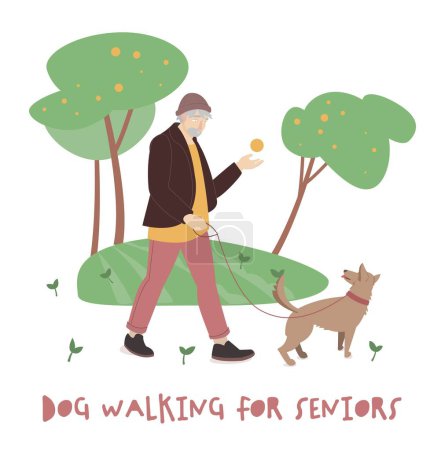 Téléchargez les illustrations : Old man walking a dog. Activity for seniors. Active pensioner. Editable vector illustration in a flat cartoon style on a white background - en licence libre de droit