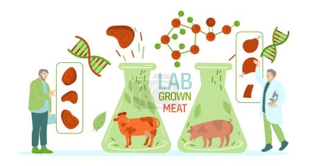 Illustration for Lab grown meat. Cell cultured beef concept in flat style. Artificial beef laboratory. Innovative food production. Editable vector illustration isolated on a transparent background. - Royalty Free Image