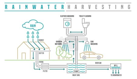Rainwater harvesting scheme. Drought tolerant infographics. Collecting rain drops. Responsible lifestyle concept. Landscape poster. Outline vector illustration isolated on a white background.