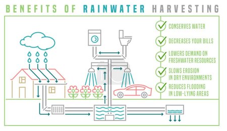 Rainwater harvesting scheme. Drought tolerant infographics. Collecting rain drops. Responsible lifestyle concept. Landscape poster. Outline vector illustration isolated on a white background.