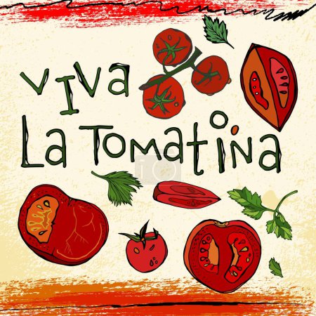 Illustration for La tomatina. Food festival in Spain. Worlds biggest tomato fight. Traditional event. Strong tradition in Bunol. Creative lettering. Editable vector illustration. Creative poster background. - Royalty Free Image