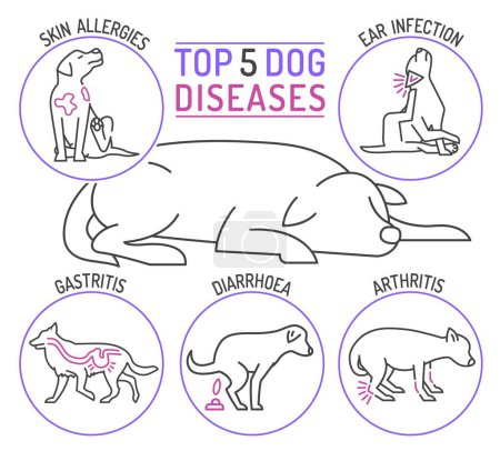 Top five dog diseases. Skin allergies, ear infections, gastritis, shark feces, arthritis. Horizontal medical poster. Landscape banner. Editable vector illustration isolated on a white background