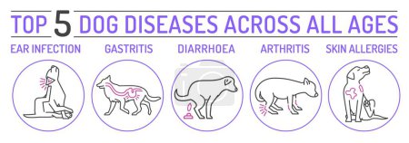 Illustration for Top five dog diseases. Skin allergies, ear infections, gastritis, shark feces, arthritis. Horizontal medical poster. Landscape banner. Editable vector illustration isolated on a white background - Royalty Free Image