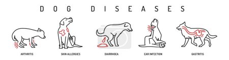 Das Symbol für Hundekrankheiten ist gesetzt. Hautallergien, Ohrenentzündungen, Gastritis, Hai-Kot, Arthritis. Schildersammlung in schwarzen, roten Farben. Editierbare Vektordarstellung isoliert auf weißem Hintergrund