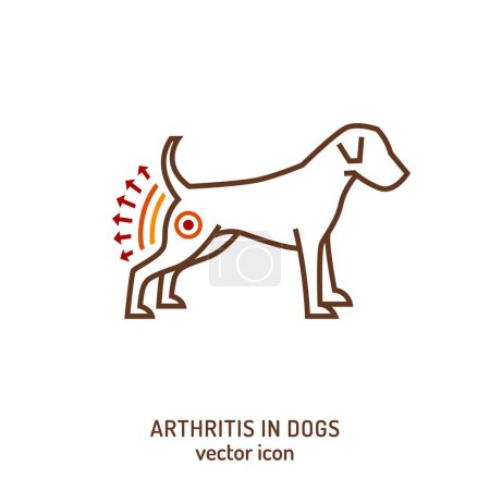 Ilustración de Artritis, osteoartritis en perros. Enfermedad común. Icono veterinario. Concepto médico. Sanidad animal. Ilustración vectorial editable aislada en estilo de contorno sobre fondo blanco - Imagen libre de derechos