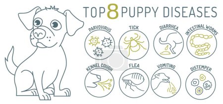 Illustration for Common puppy diseases. Informative infographics. Medical poster, banner for veterinarian clinics and hospitals. Editable vector illustration in simple linear style isolated on a white background - Royalty Free Image