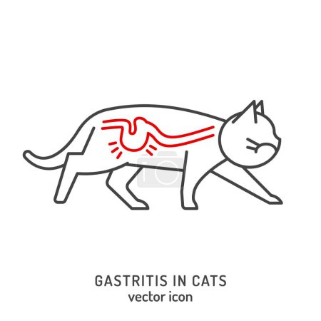 Illustration for Gatritis in cats. Linear icon, pictogram, symbol. Common disease. Veterinarian concept. Editable isolated vector illustration in outline style on a white background - Royalty Free Image