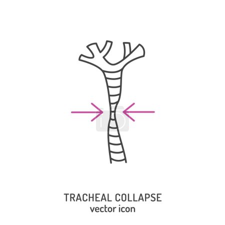 Illustration for Tracheal collapse icon, sign. Medical pictogram. Trachea disorder. Respiratory distress. Editable vector illustration in a thin line style isolated on a white background. - Royalty Free Image