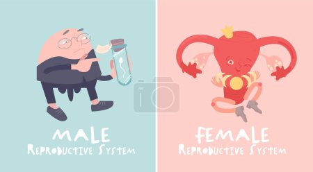 Illustration for Male and female reproductive systems. Cartoon characters in a flat style. Healthcare, anatomy, medicine image. Human internal organ. Creative symbol, logotype. Medical vector illustration - Royalty Free Image