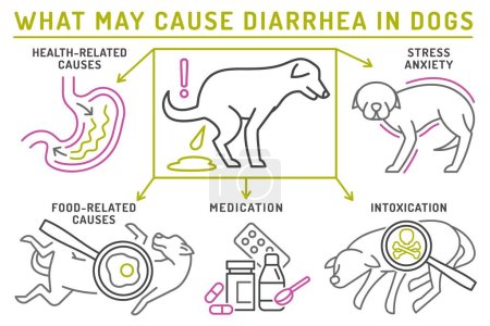 Illustration for What may cause diarrhea in dogs. Useful medical infographic with line icons. Common canine disease. Veterinarian concept. Editable isolated vector illustration in outline style on a white background - Royalty Free Image