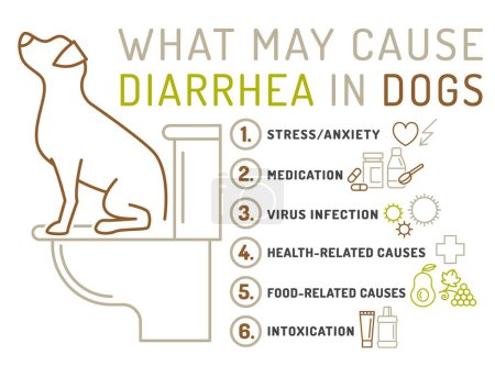 Illustration for What may cause diarrhea in dogs. Useful medical infographic with line icons. Common canine disease. Veterinarian concept. Editable isolated vector illustration in outline style on a white background - Royalty Free Image