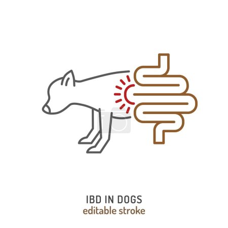 Illustration for IBD in dogs. Linear icon, pictogram, symbol. Common disease. Veterinarian concept. Editable isolated vector illustration in outline style on a white background - Royalty Free Image