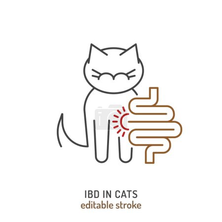 Illustration for IBD in cats. Linear icon, pictogram, symbol. Common disease. Veterinarian concept. Editable isolated vector illustration in outline style on a white background - Royalty Free Image