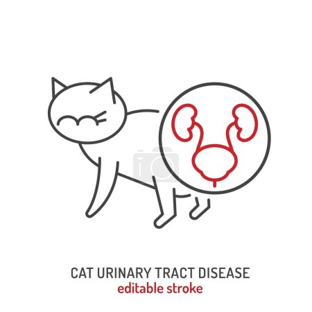FLUTD in cats. Linear icon, pictogram, symbol. Common feline lower urinary tract disease. Veterinarian concept. Editable isolated vector illustration in outline style on a white background