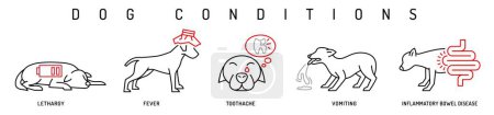 Dog health conditions icons. Hyperthermia, lethargy, vomiting in dogs. Elevated body temperature, inflammation in canines. Editable vector illustration in line style isolated on a white background