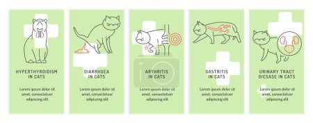 Illustration for Top 5 conditions in cats. Common diseases in adult animals. Veterinarian concept with linear icons. Vector illustration isolated on a light green background. Landscape poster, informative banner - Royalty Free Image