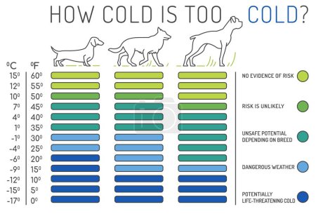 Wie kalt ist zu kalt. Die normale Temperatur für einen Hund. Medizinische Infografik. Landschaftstierarzt-Plakat. Nützliche Informationen. Ihr Haustier wohl. Vektor-Illustration isoliert auf weißem Hintergrund
