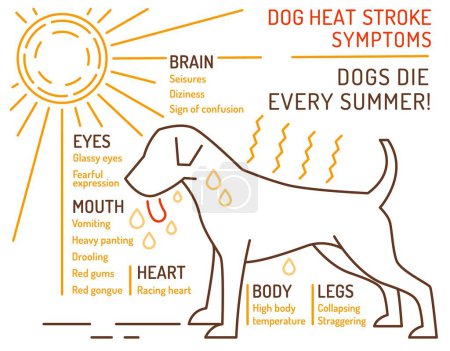 Dog heat stroke symptoms. Medical infographic. Landscape veterinarian poster. Useful information. Your pet wellbeing concept. Editable vector illustration isolated on a white background