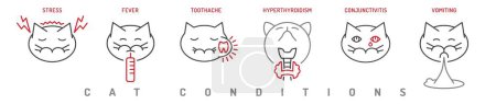 Iconos de condiciones de salud gato. Hipertermia, dolor de muelas, estrés en gatos. Temperatura corporal elevada, inflamación en felinos. Ilustración vectorial editable en estilo de línea aislada sobre fondo blanco