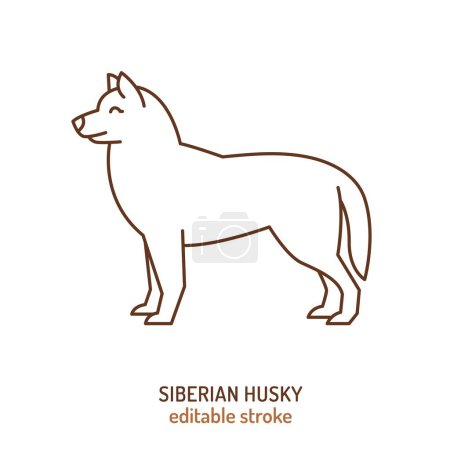 Siberian husky dog silhouette, outline contour vector sketch illustration for veterinary logo, pet shop advertising design. Medium-sized working sled dog breed. Active, energetic, resilient doggy