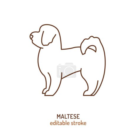 Maltese dog silhouette, outline contour sketch. Vector isolated illustration for veterinary logo, pet shop advertising design. Dwarf, white-coated dog breed from Italy. Toy group icon, linear sign.