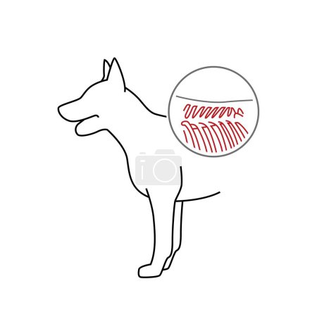 Injuries in dogs. Back trauma icon, pictogram, symbol. Limb affliction. Spinal trauma. Painful disease. Veterinarian concept. Editable isolated vector illustration in outline style on a white