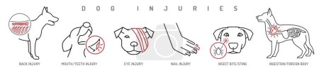 Various types of dog injuries. Back, eye, paw, mouth injury. Insrct sting. Canine wounds pictogram. Veterinarian icons set. Editable isolated vector illustration in outline style on a white background
