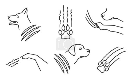 Illustration for Dog scratch. Common pet behavior symbol. Excessive scratching set. Linear icon, sign, pictogram. Veterinarian collection. Editable isolated vector illustration in outline style on a white background - Royalty Free Image