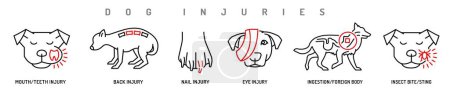 Various types of dog injuries. Back, eye, paw, mouth injury. Insrct sting. Canine wounds pictogram. Veterinarian icons set. Editable isolated vector illustration in outline style on a white background