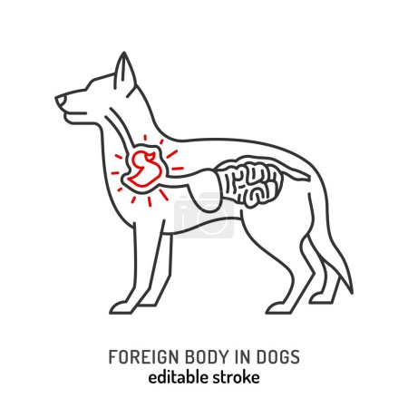 Injuries in dogs. Foreign body trauma icon, pictogram. Ingestion symbol. Stomach obstruction in dog. Obstructive item. Editable isolated vector illustration in outline style on a white background
