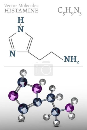 Estructura de moléculas de histamina en estilo 3D. Ilustración de vectores médicos en colores azul y plata metálicos. Esquema químico C5H9N3 aislado sobre un fondo gris claro. Concepto científico, educativo.