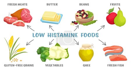 Low histamine food. Allergy-friendly fresh, natural foods. Nutritional plan. Landscape poster, banner. Medical healthcare concept. Editable vector illustration isolated on a white background