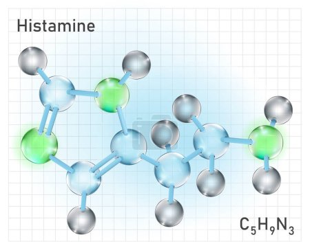 Histamine molecule structure in transparent 3D style. Medical vector illustration. C5H9N3 chemical scheme isolated on a light background. School poster. Scientific, educational concept.