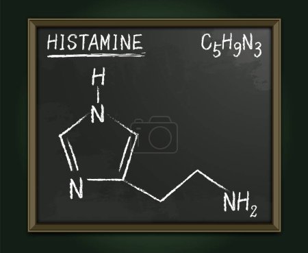 Histamine molecule structure on the classroom blackboard in realistic hand writing style. Medical vector illustration. C5H9N3 chemical scheme. School poster. Scientific, educational concept.
