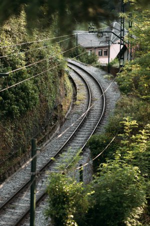 Single-track railway turns among green trees in countryside.