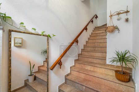Escalera de baldosas que conduce a una casa acogedora. Entrada con espejo y plantas