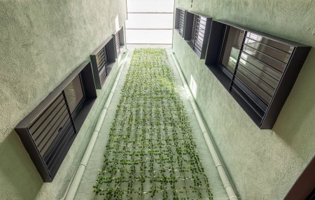 Foto de Vista panorámica del moderno edificio residencial con jardinería vertical en Barcelona. Ventanas negras colocadas asimétricamente y paredes verdes - Imagen libre de derechos
