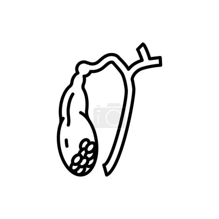 Icono de vesícula biliar en vector. Logotipo