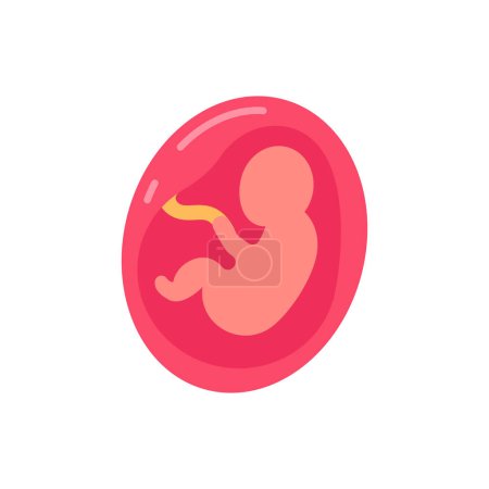 Illustration for Fetus icon in vector. Logotype - Royalty Free Image